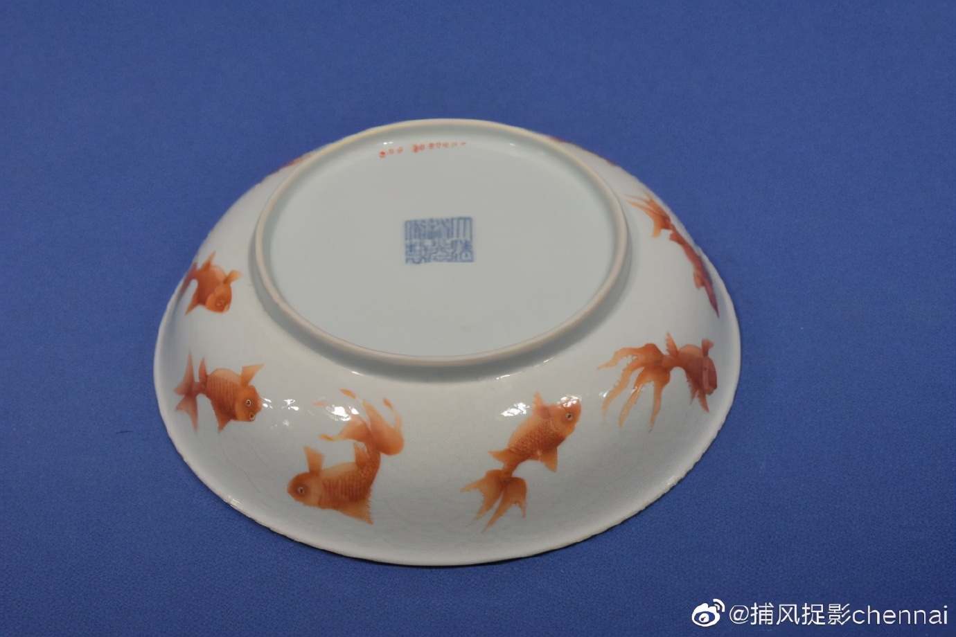 金鱼展和金鱼题材*物文**展