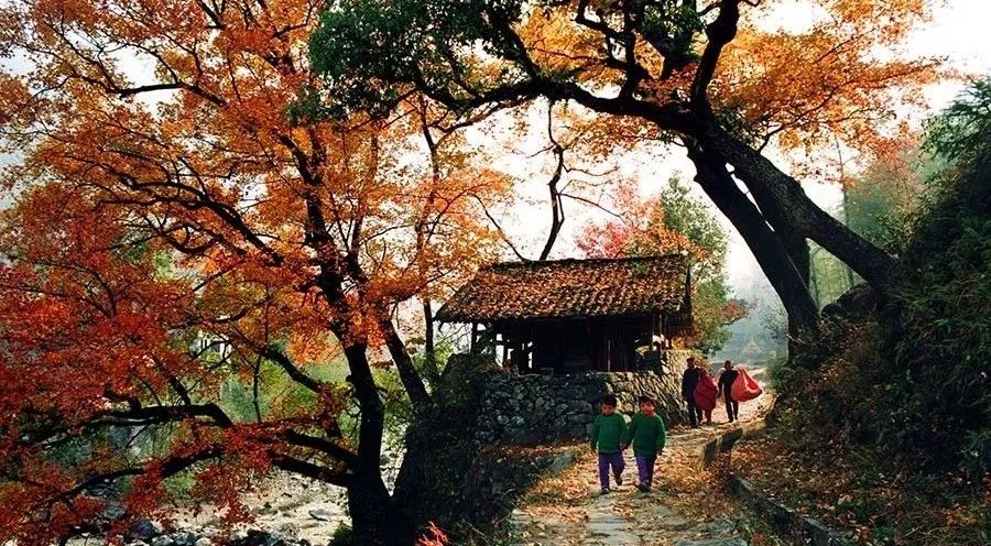 楠溪江民宿客栈排名前十,楠溪民宿十大排名