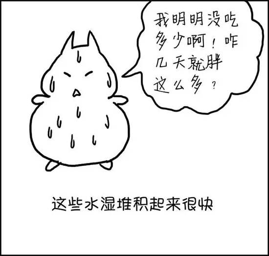 从现代营养学的角度分析湿气,现代医学解释脾虚湿气重