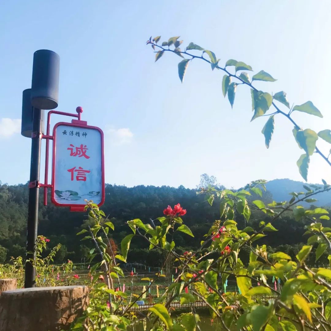 家门口的健身场地正式投入使用,家门口健身有了好去处