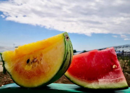 孕晚期吃了西瓜胎动频繁,孕妈吃西瓜羊水也会是西瓜味吗