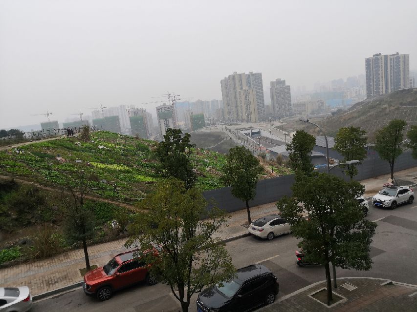 不知不觉中从夏天跑到了冬天,不知不觉跑到了冬天