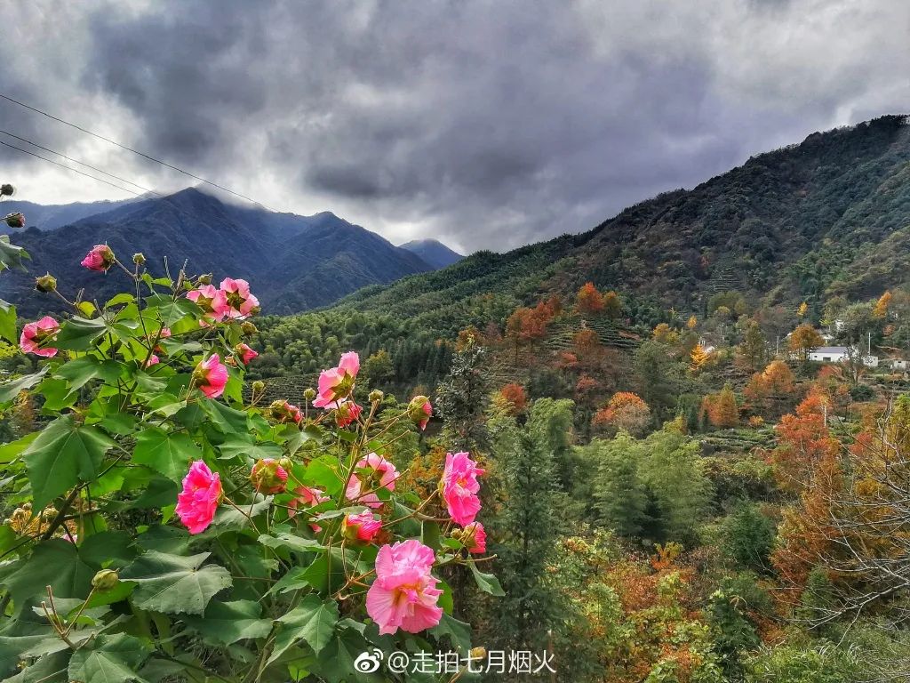 池州藏最新原生态避暑地，荷花海石海瀑布禅寺，不知名无门票却美