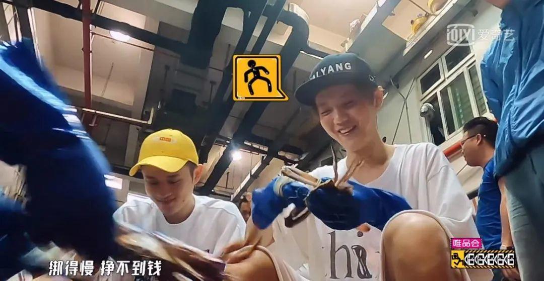 无剧本封闭式综艺,最真实无剧本的综艺