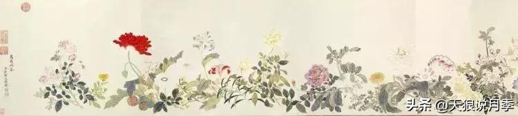 古老月季的魅力,40种中国古老月季