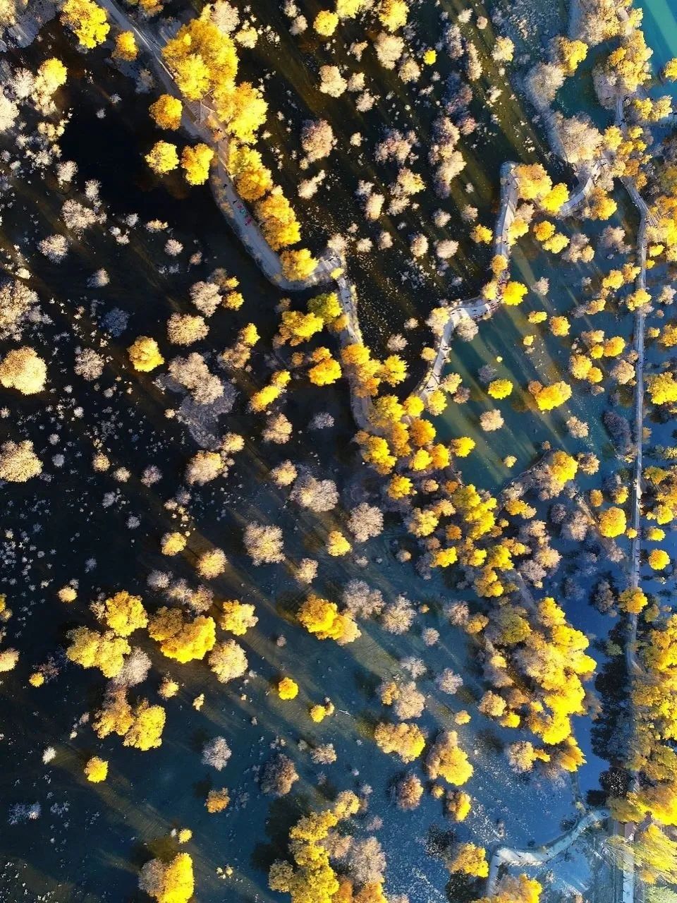 青白江不修地铁是真的吗,青白江不通地铁是地理原因吗