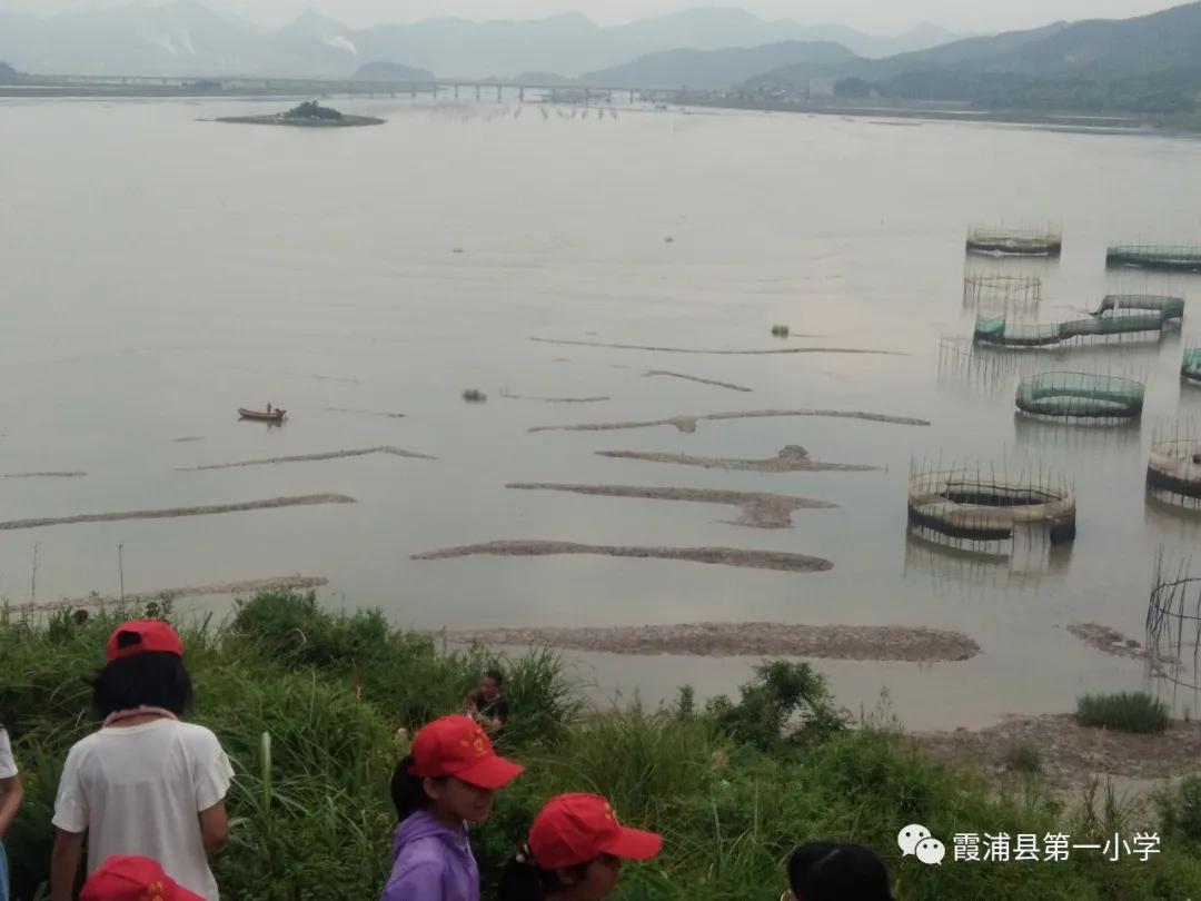 霞浦一中高一新生夏令营,霞浦县夏令营