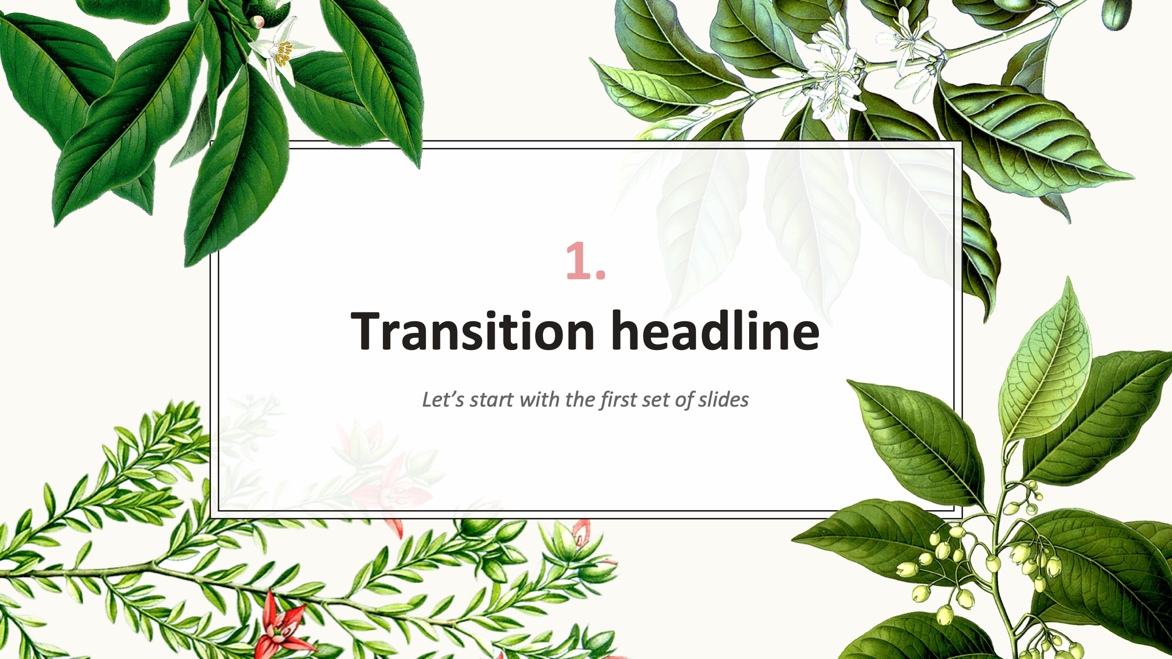 PPT植物插图模板——可免费*载下**，一键替换文字