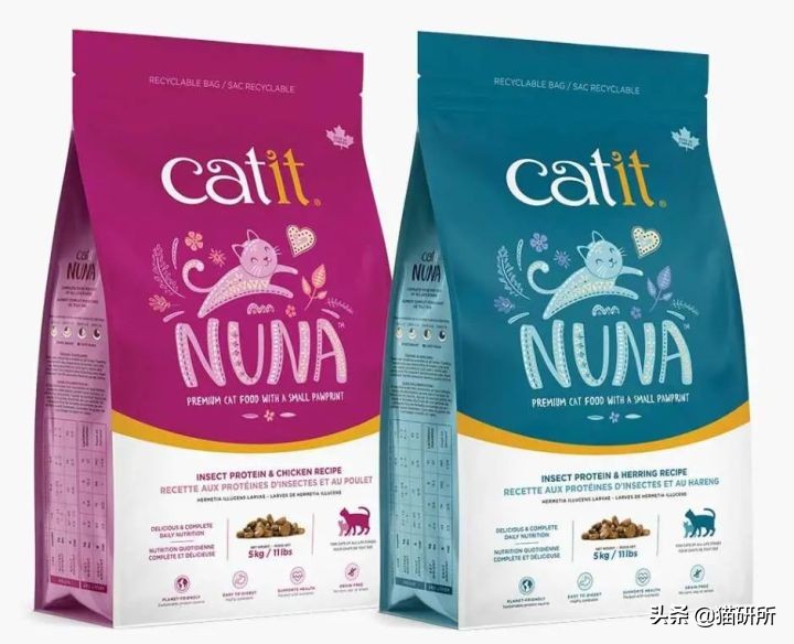 猫咪可以喂自制猫粮吗,用虫子做的食物