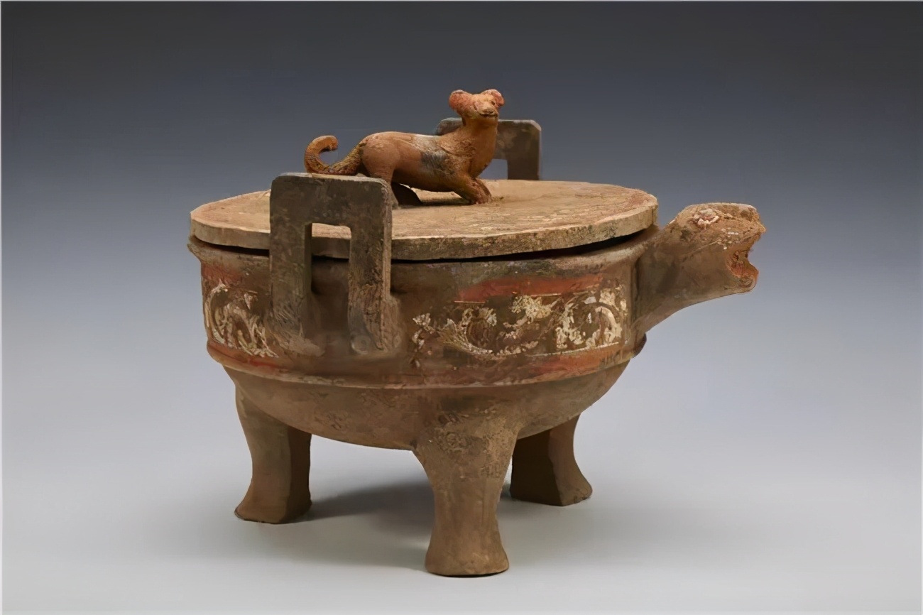 乌龟从神兽到王八,记录我们家小神兽成长历程