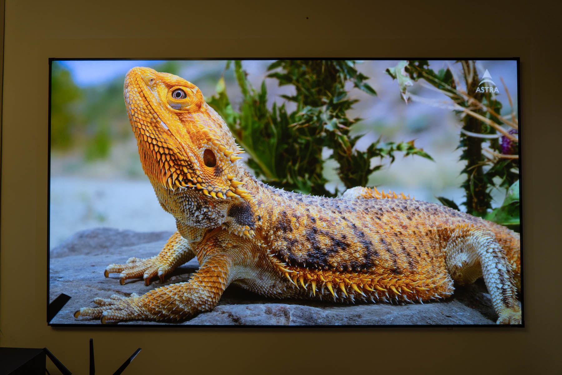 激光电视真的好用么？峰米激光电视4KCinema全网首测！