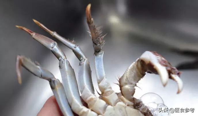 金秋蟹怎么选大闸蟹,大闸蟹蟹肥怎么挑