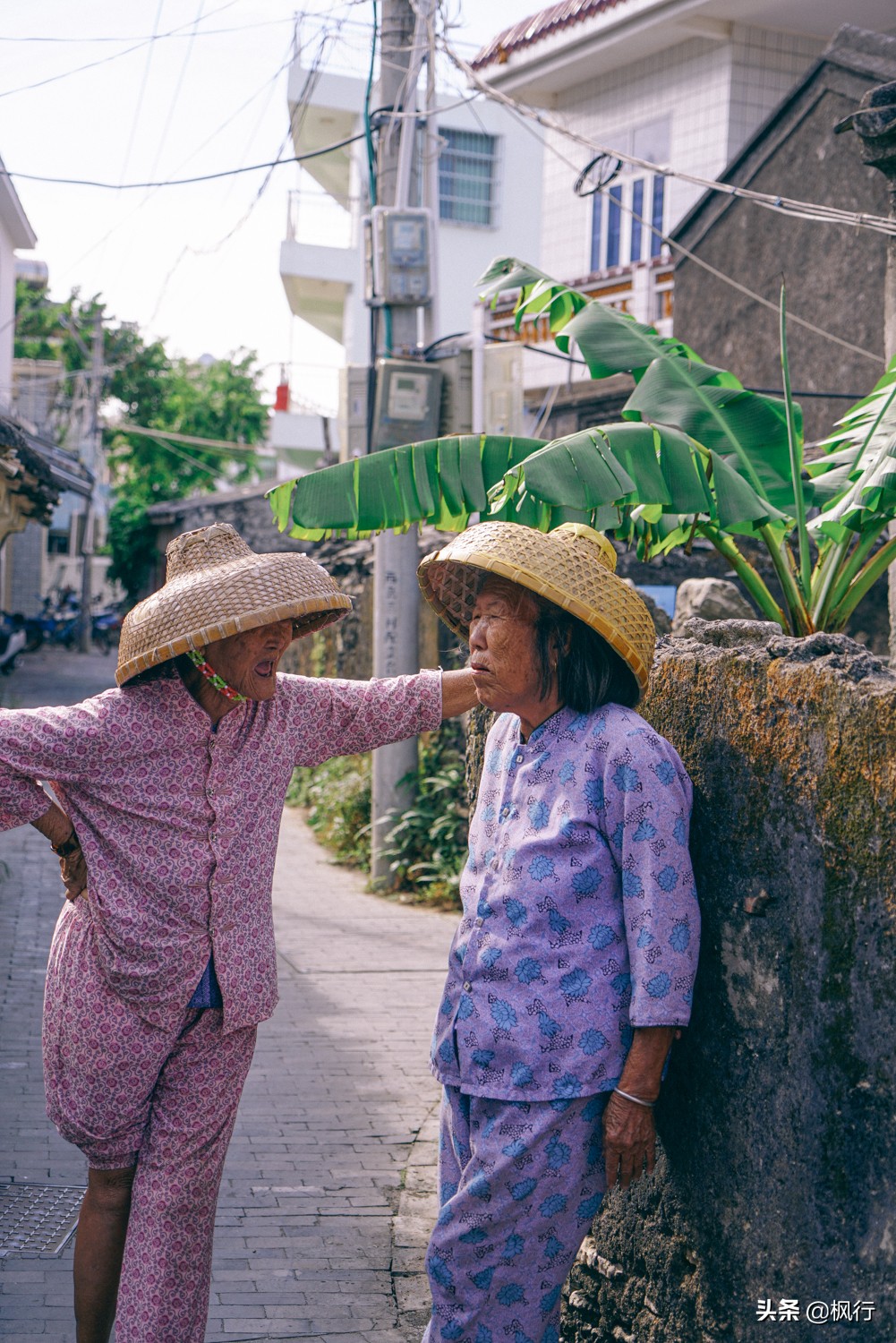 被猴子袭击，门票昂贵，拍照被轰，被我全程吐槽的三亚到底值不值