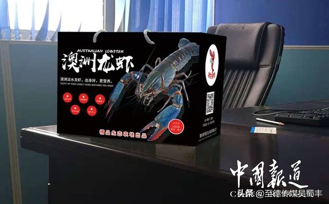 渝北澳洲淡水龙虾,上海澳洲淡水龙虾