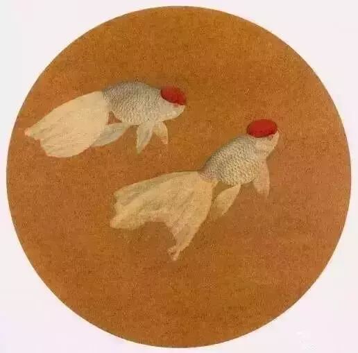 工笔金鱼线稿100例,工笔金鱼图片大全大图