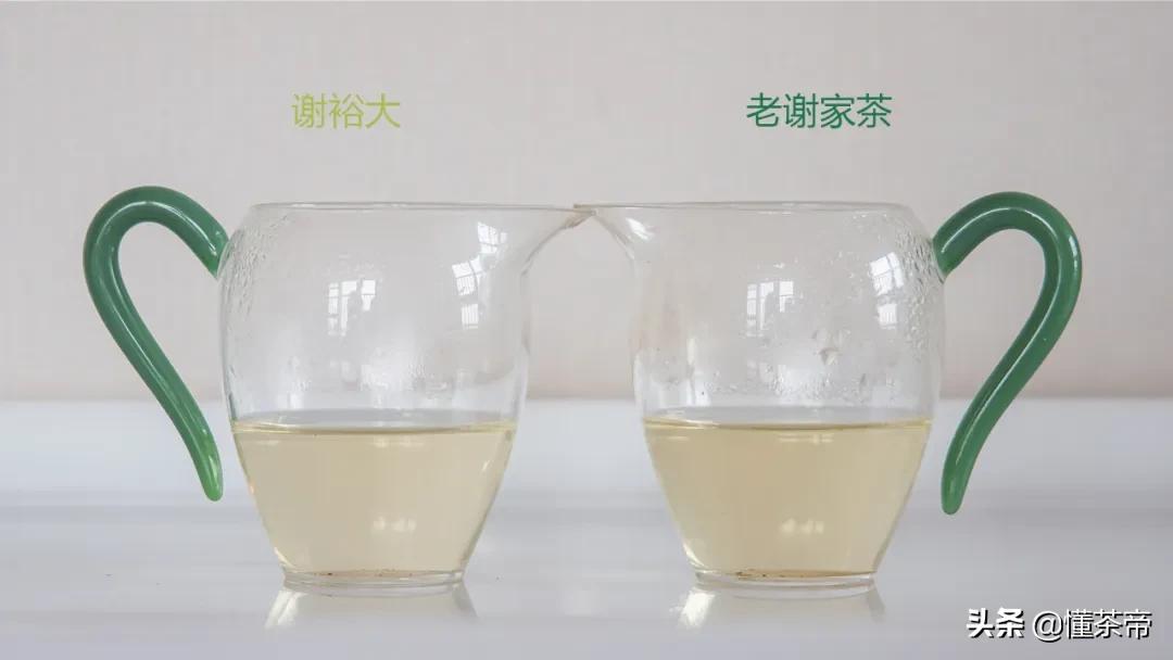 谢裕大和老谢家茶是一家吗,黄山毛峰谢裕大是什么茶