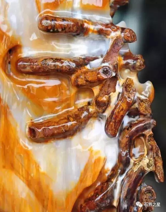 世上最惊艳的木头,世界上最漂亮的红色木头