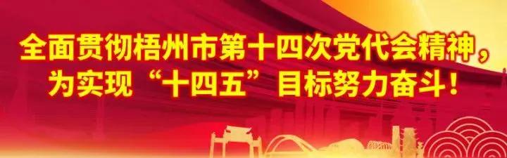 2021梧州宝石节还举行吗,梧州宝石街美食节时间