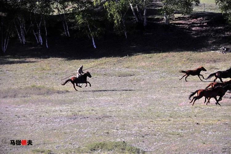 布里亚特牧民骑马摄影作品,草原蒙古族服饰摄影