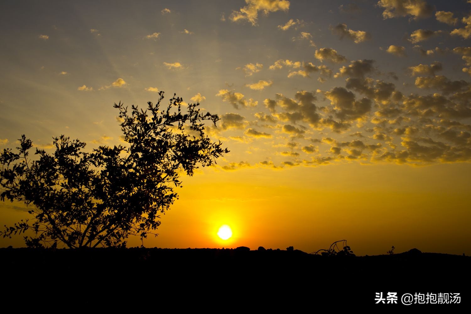 野外徒步者判断方向的方法,登山徒步注意什么