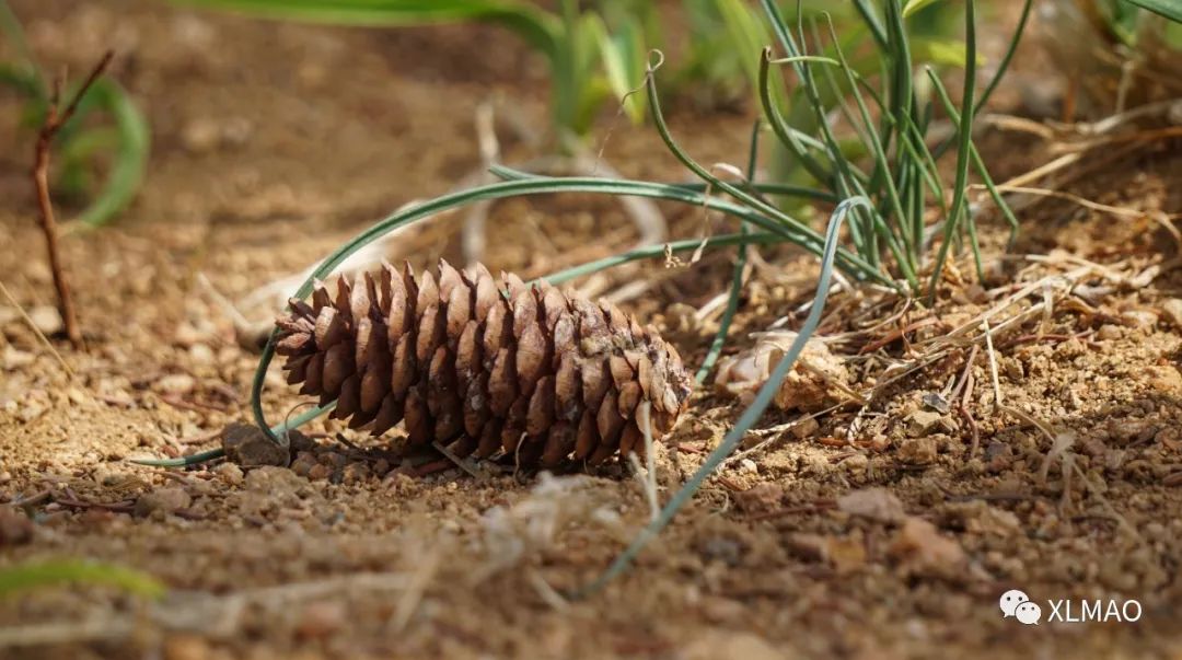 摄影爱好者的拍摄题材,一名业余摄影爱好者的简介