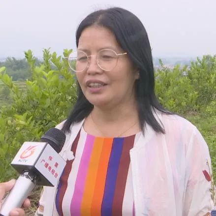 妇联创业资金,妇联扶持妇女创业基金项目洽谈