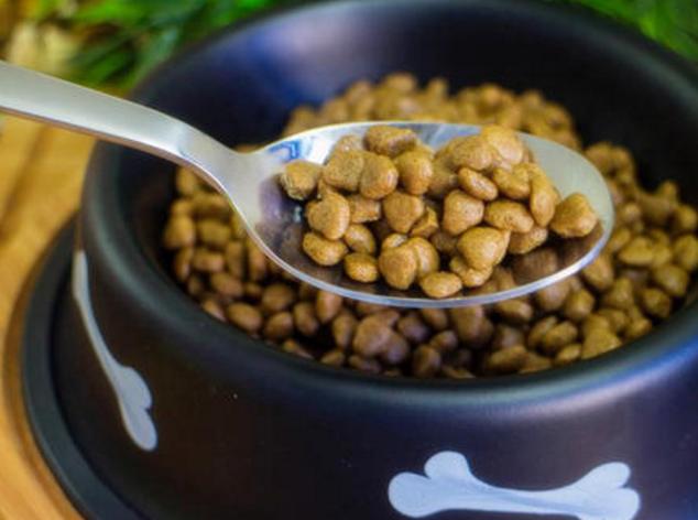 哪个牌子狗粮去泪痕美毛效果好,美毛效果最好的狗粮是哪种