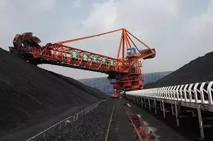 牛原本个人资料,内蒙古牛能有多大