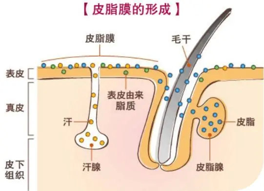 在地铁站遇到这种情况该怎么办,地铁上觉得闷怎么办
