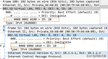 vlanallowed原理,trunk允许几个vlan通过