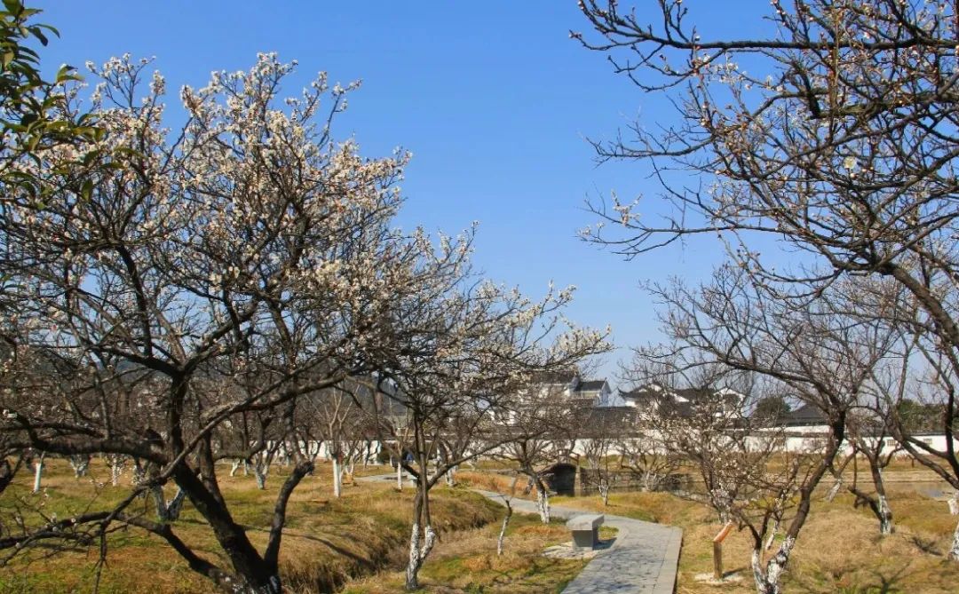 苏州西山十大知名农家乐有哪些,带你走一走苏州的太湖边农家乐