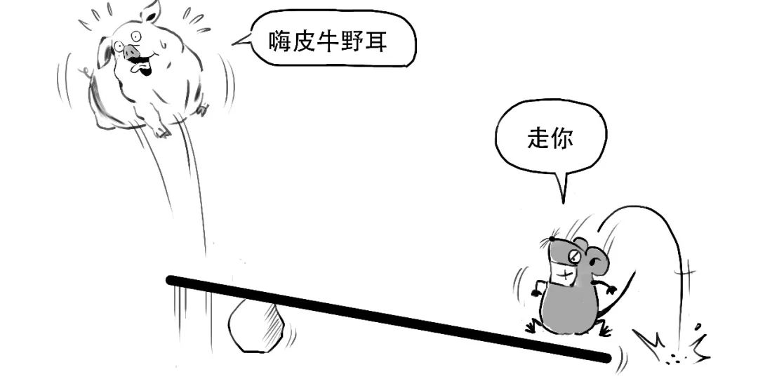 贷款炒股和融资融券炒股哪个合算,炒股的融资融券是怎么操作的