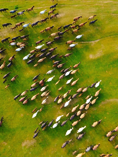 立场不同，请不要随意指责