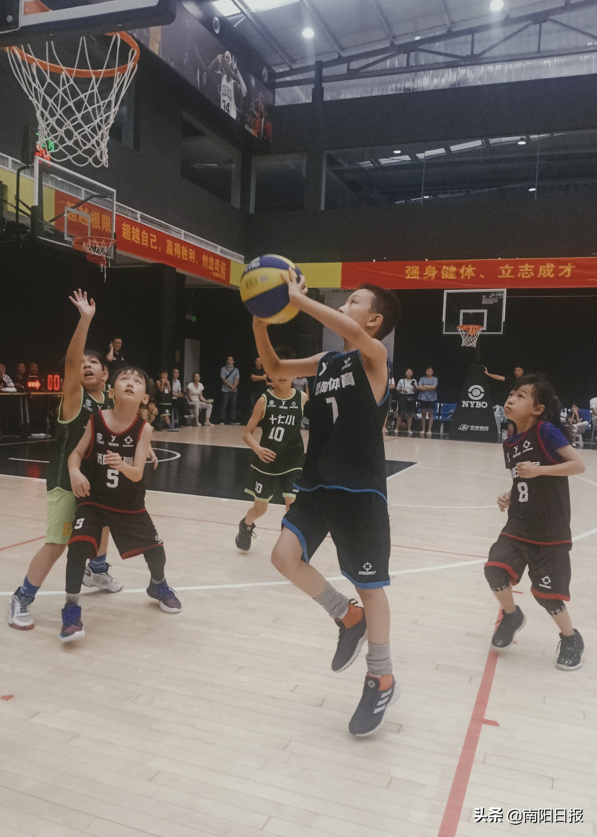 星源饮食杯,星源篮球比赛