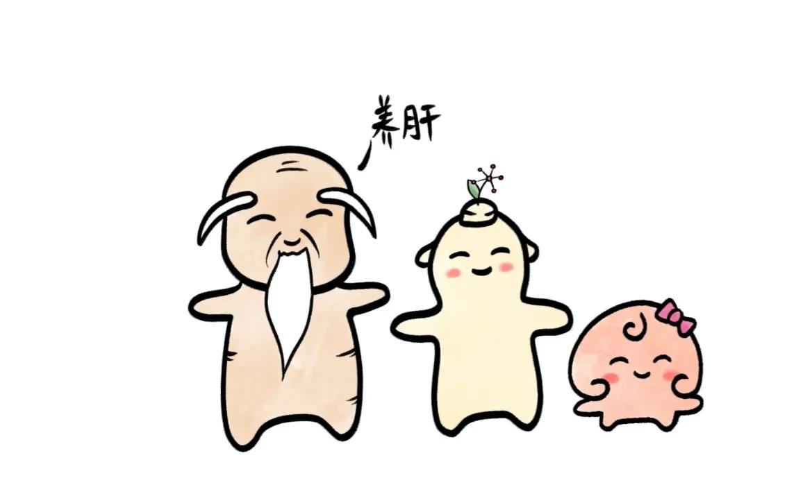 大怒伤肝的自我调理,怒伤肝以后怎么恢复