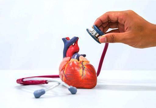 医生说我心脏太小什么问题,医生说我心脏比正常人大