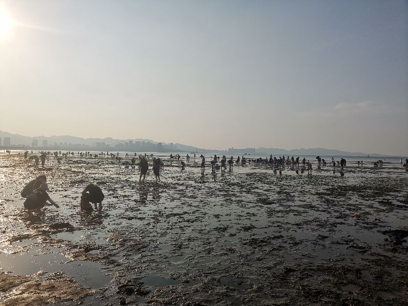 赶海挖蛏子找蛏子眼,想赶海捡贝壳海螺