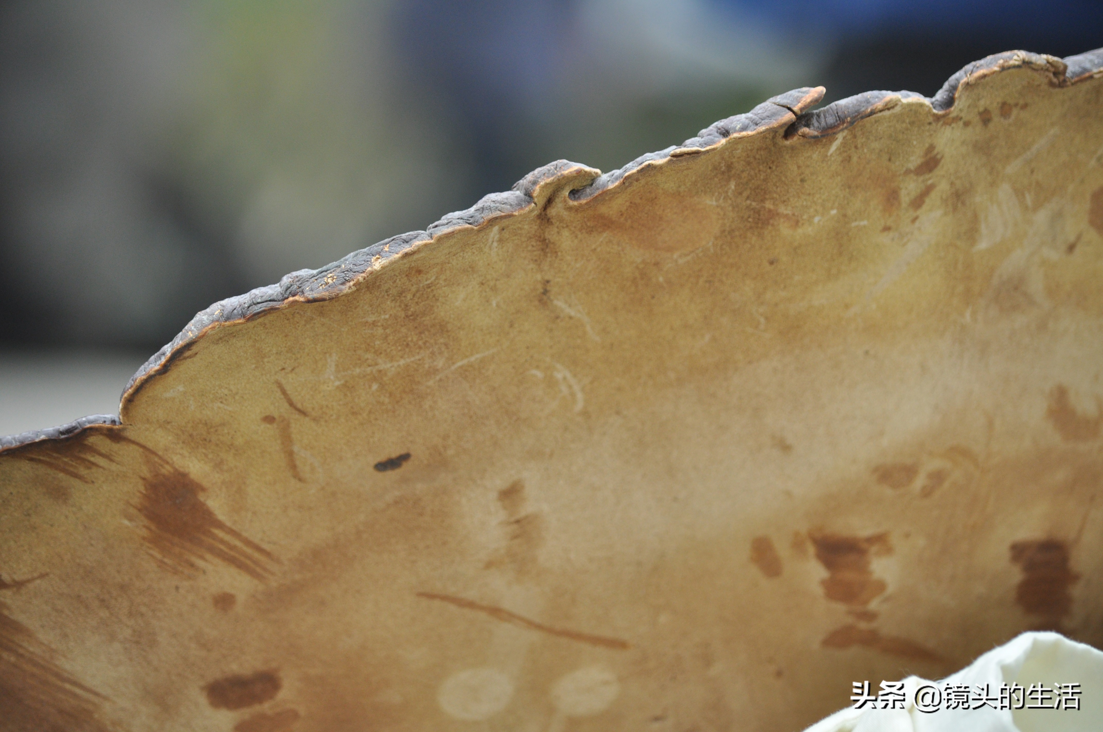 鍐滄潙灏忎紮鎵惧埌鐝嶈吹鑽潗浠锋牸涓嶈彶,澶у彅鎺忓嚭6鍧楀崠鑽潗鐨勯挶