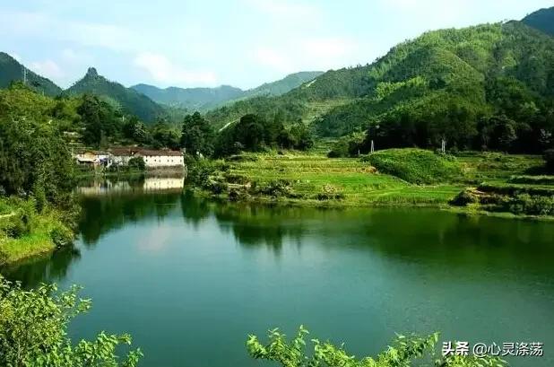 钢笔的路径怎么复制,钢笔回锋收笔视频