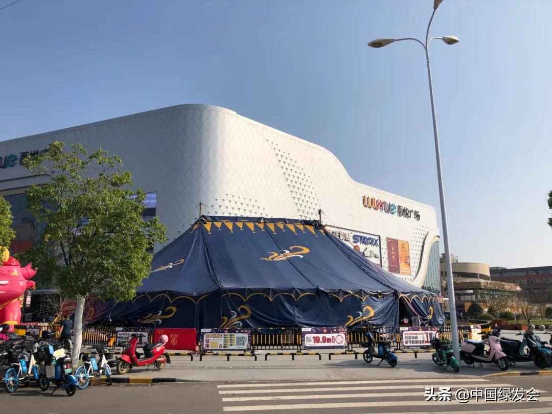 继恒大之后，新城控股成为黑榜之首！房地产何时能放过野生动物？