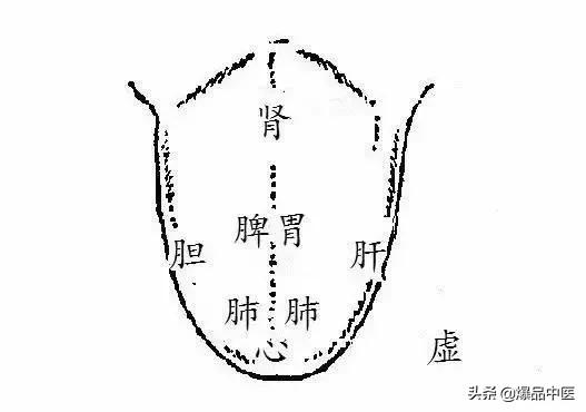 全息望诊大全视频,浅议生物全息律与中医望诊
