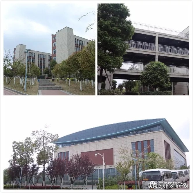 绵阳富乐国际学校着力打造适合每一个学生的教育