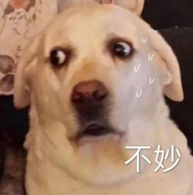 考驾照到底有多难难难难难难难？