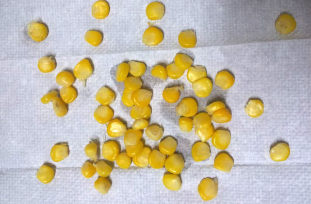 鱼为什么喜欢吃麦子,鱼为什么喜欢吃虾饵