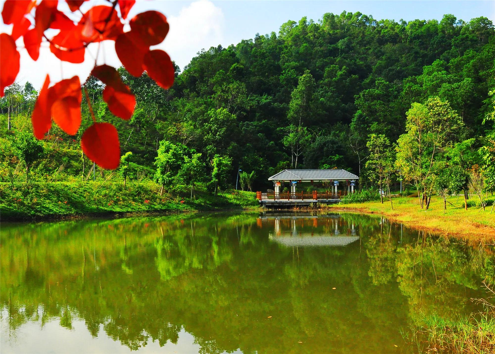 湖泊风景区推荐,深圳十大免费主题公园