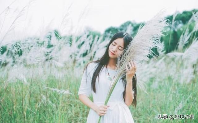 如何对待不喜欢你的人原文,不要为不喜欢你的人而改变自己