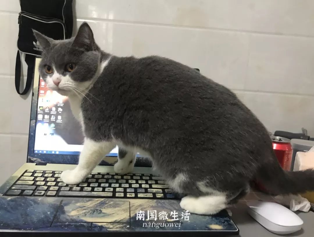 顶不住了！看看在家办公半个月的南宁人