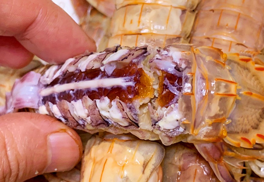 煮皮皮虾时，用冷水还是开水？10人做9人错，难怪虾肉缩小不鲜嫩