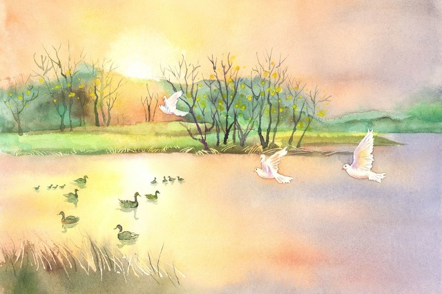 杂文系列六十二：乡村求医记