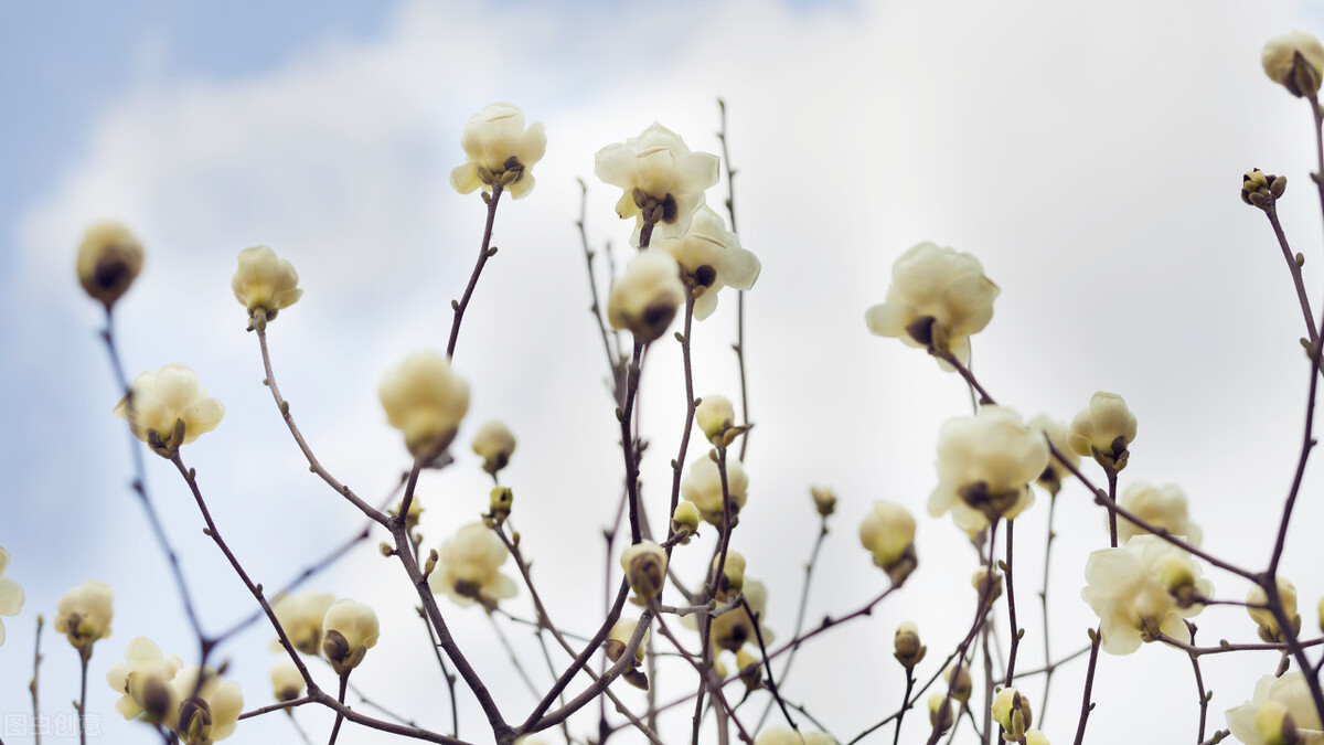 拍摄古建筑摄影技巧,古建筑双人拍照怎么拍出高级感